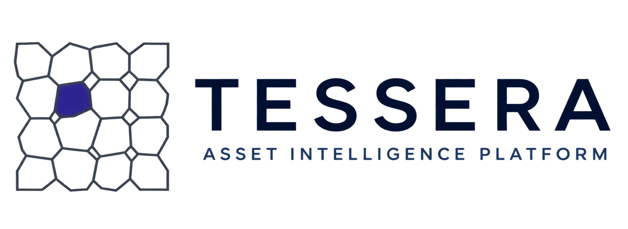 TESSERA Asset Intelligence Platform